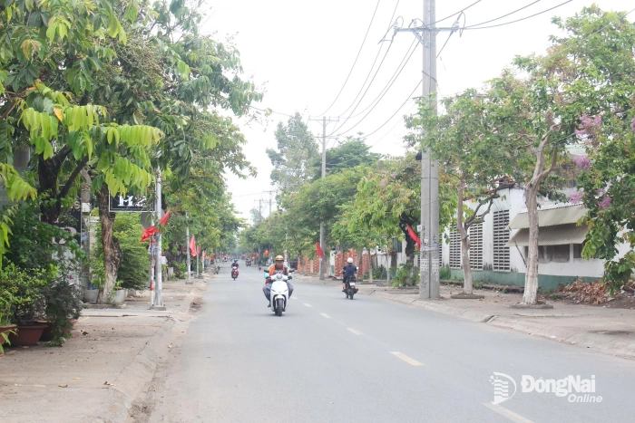 Mỗi ngôi nhà xanh góp phần xây dựng một đô thị xanh