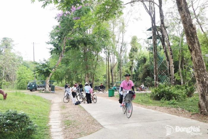 Phát triển sản phẩm du lịch sinh thái rừng