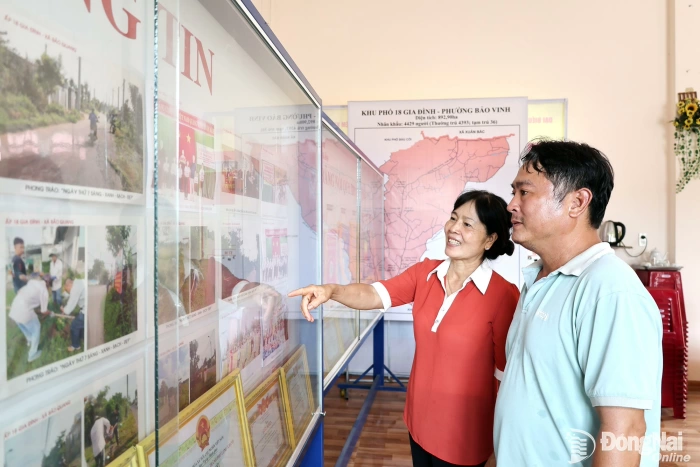 Turning grassroots voices into concrete actions