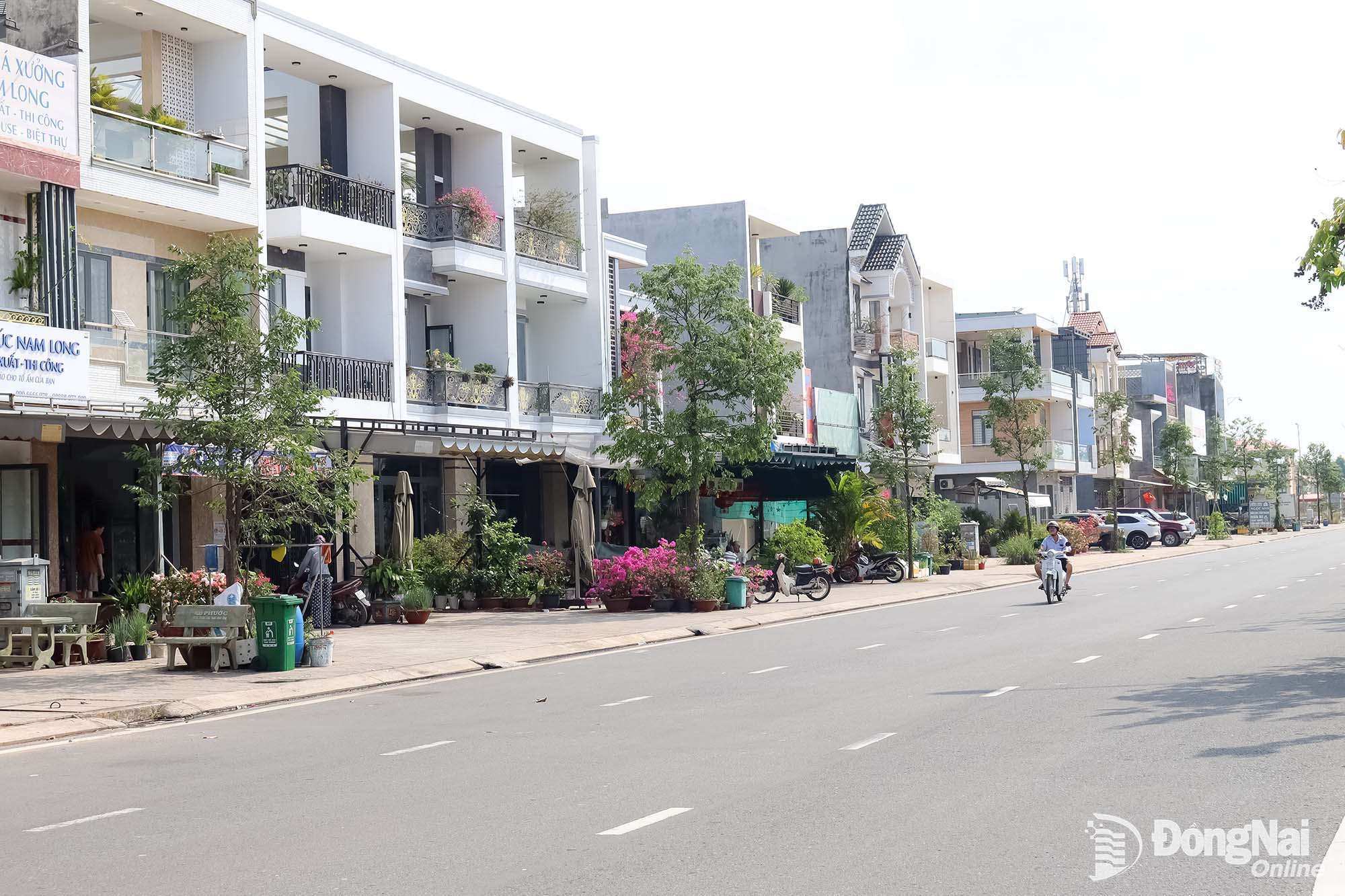 Infrastructure in the Loc An–Binh Son resettlement area, Long Thanh Ward. Photo: Hoang Loc

