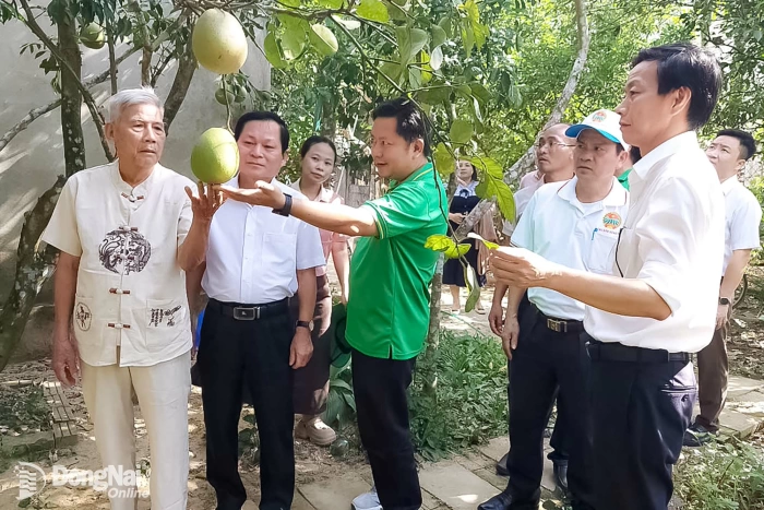Học tập kinh nghiệm phát triển nông nghiệp tại thành phố Huế