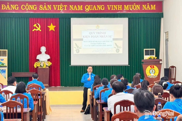 Tập huấn nghiệp vụ cho hơn 200 cán bộ Công đoàn