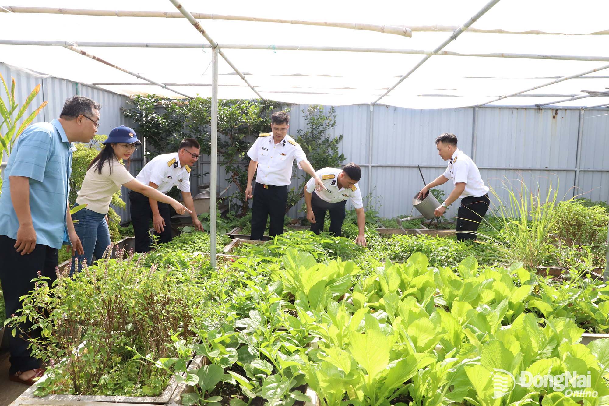 The vegetable garden and livestock area at DK1/15.

