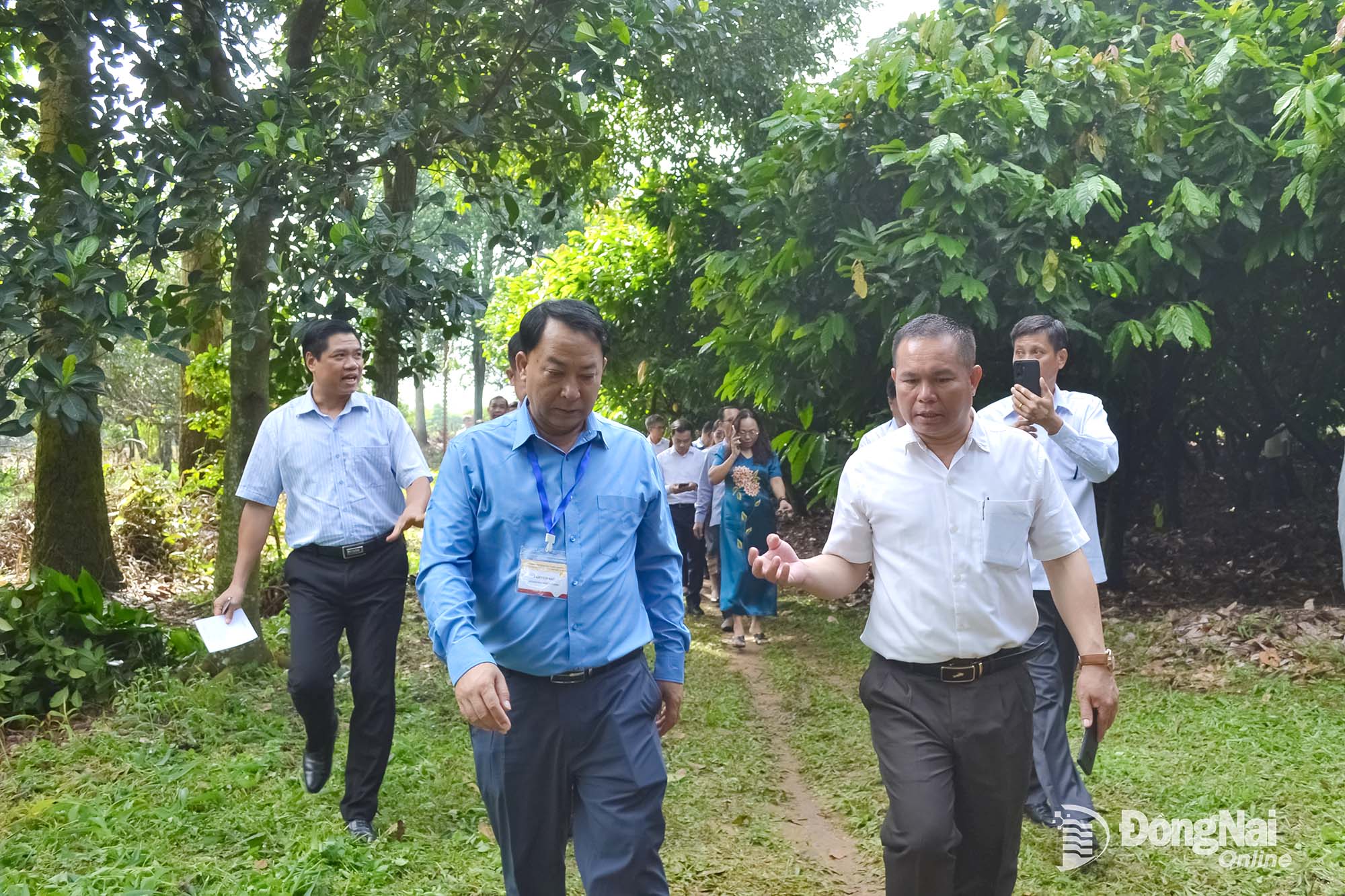 Đoàn cán bộ lãnh đạo trẻ 3 Đảng: Việt Nam - Lào - Campuchia khảo sát thực tế mô hình trồng ca cao tại xã Hưng Thịnh. Ảnh: Phương Hằng