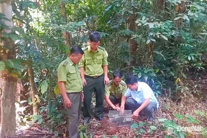 Thả 84 cá thể động vật hoang dã về môi trường tự nhiên