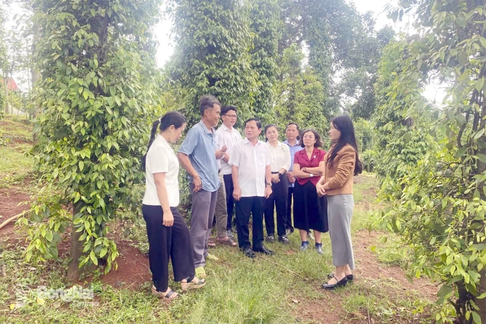 Gỡ “điểm nghẽn” để phát triển nông nghiệp hữu cơ