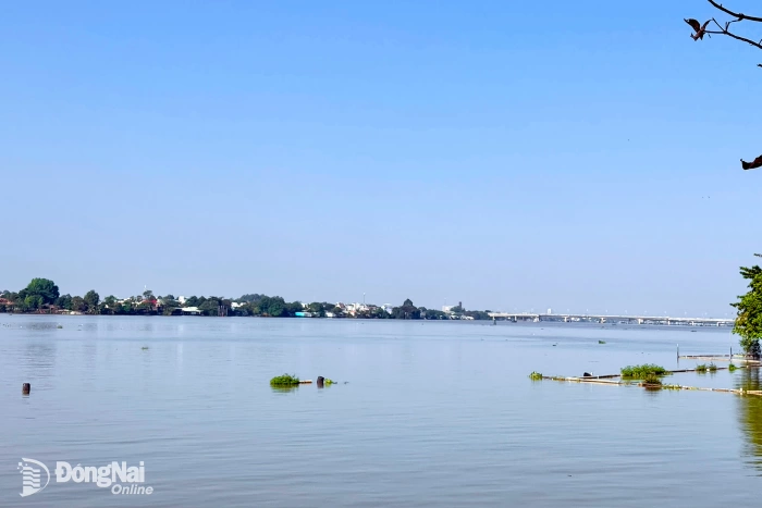 Đồng Nai: Cảnh báo lũ trên sông Đồng Nai và La Ngà