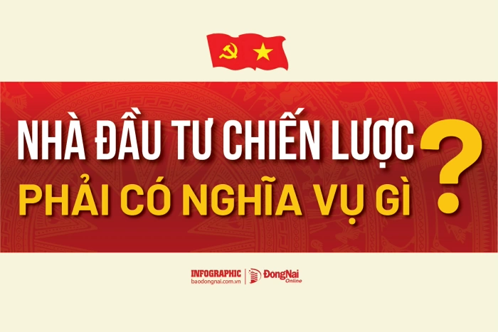 [Infographic] Luật Phát triển đô thị: Nhà đầu tư chiến lược phải có nghĩa vụ gì?