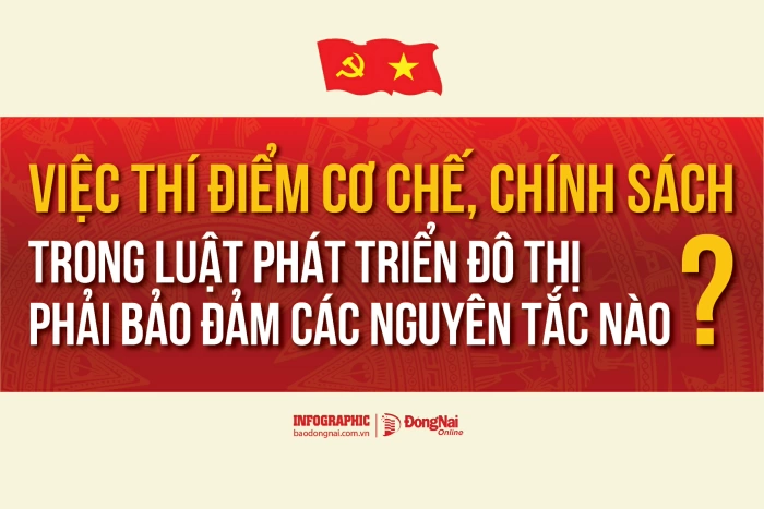 [Infographic] Việc thí điểm cơ chế, chính sách trong Luật Phát triển đô thị phải bảo đảm các nguyên tắc nào?