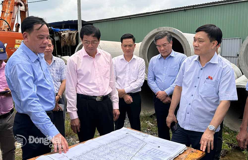 Đoàn công tác kiểm tra, khảo sát tại khu tái định cư Long Đức