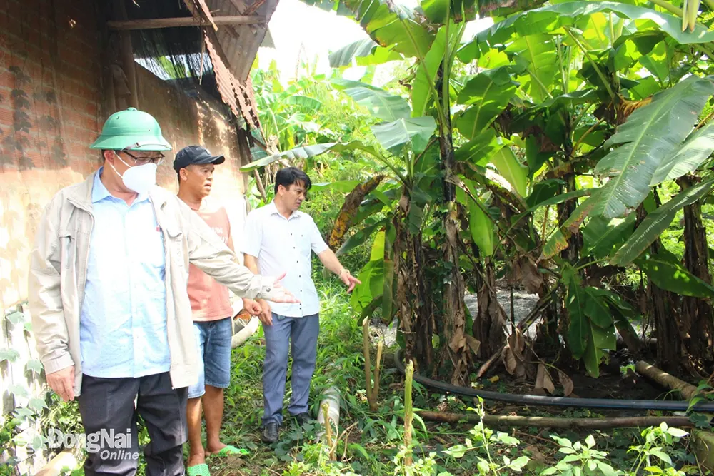 Lãnh đạo UBND huyện kiểm tra hệ thống xử lý nước thải tại trang trại chăn nuôi ở xã Quang Trung
