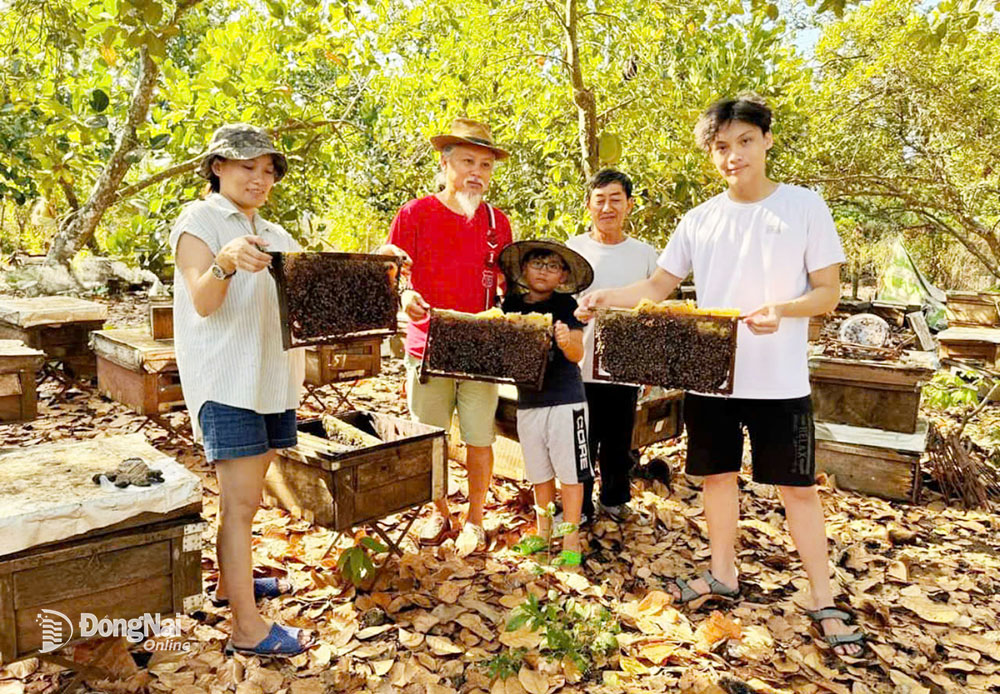 Mô hình Du lịch trải nghiệm nuôi ong của Hợp tác xã Nông nghiệp nuôi ong - TMDV Hàng Gòn. Ảnh: HTX cung cấp