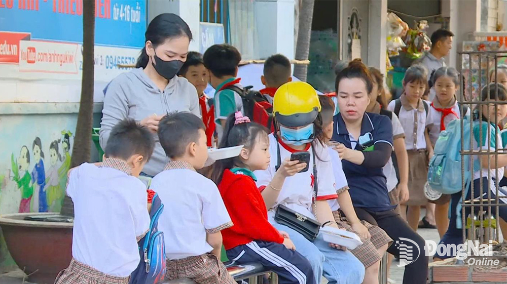 Hơn 1 ngàn học sinh lớp 4, lớp 5 Trường tiểu học Phan Đình Phùng, phường Long Bình phải đi học nhờ suốt nhiều năm nay. Ảnh: Khánh Lộc