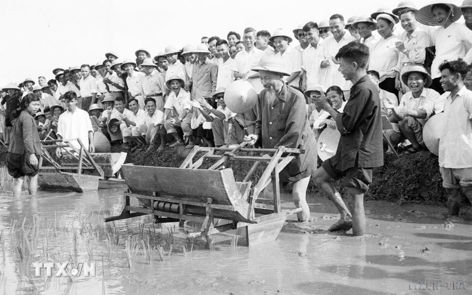 Chủ tịch Hồ Chí Minh đến thăm Sở Nông Lâm Hà Nội và sử dụng thử chiếc máy cấy tại ruộng thí nghiệm của Sở tháng 7/1960. Ảnh: TTXVN

