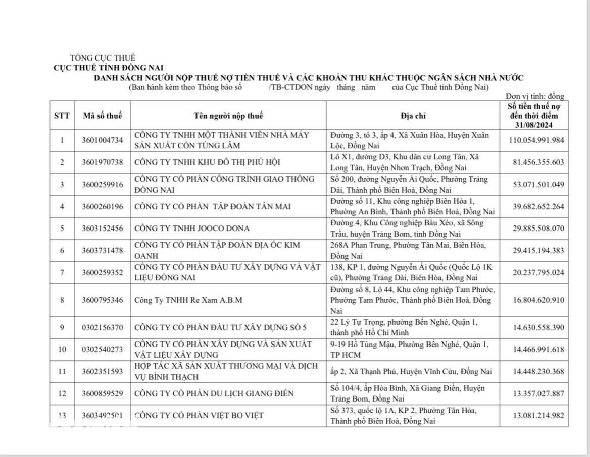 Danh sách doanh nghiệp nợ thuế quá hạn nhóm đầu được công khai. Ảnh: Ngọc Liên