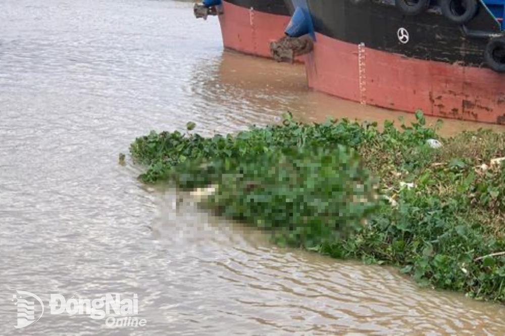 Khu vực thi thể anh V.Q.T.B nổi trên sông Đồng Nai (địa phận thành phố Dĩ An, tỉnh Bình Dương). Ảnh: CTV