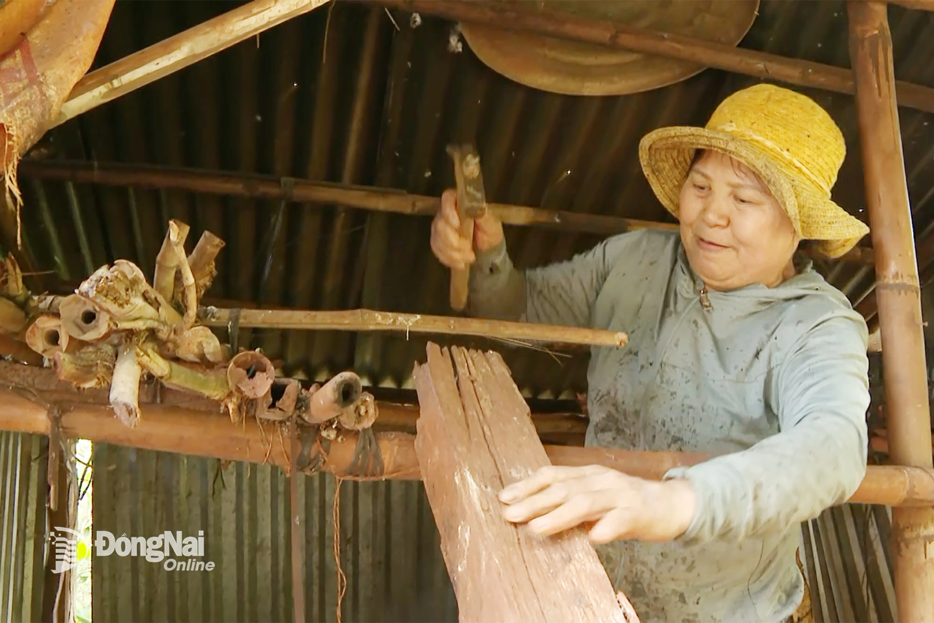 Bà Dung vẫn từng ngày lam lũ, gồng gánh cả gia đình. Mọi vất vả đều trở nên nhỏ bé trước nỗi lo khi người đầu bạc phải tiễn kẻ đầu xanh. ảnh: Thu Hiền