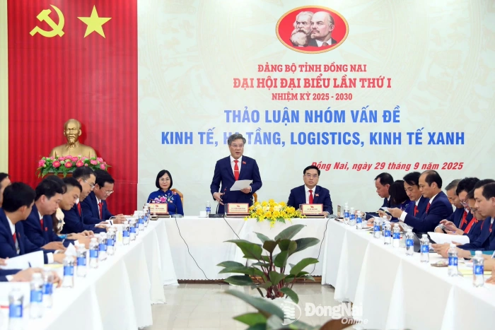 Intensifying solutions to develop economy, infrastructure, logistics and green economy