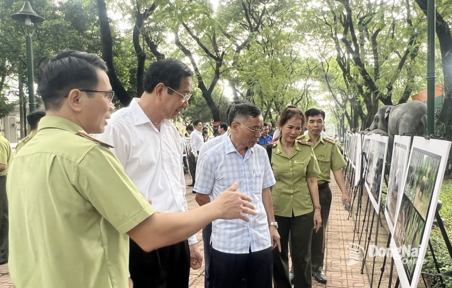 Elephant photo exhibition within the framework of Elephant Conservation Week in Dong Nai in 2023. Photo: Hoang Loc