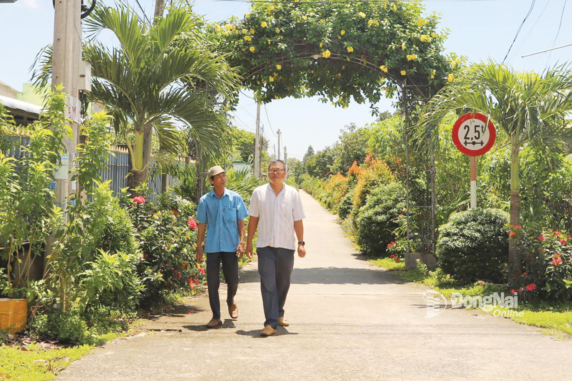 Tuyến đường kiểu mẫu tại ấp Phú Điền 4 được trồng nhiều loại cây cảnh có giá trị nhờ thực hiện tốt việc vận động các mạnh thường quân đóng góp. Ảnh: B.Nguyên