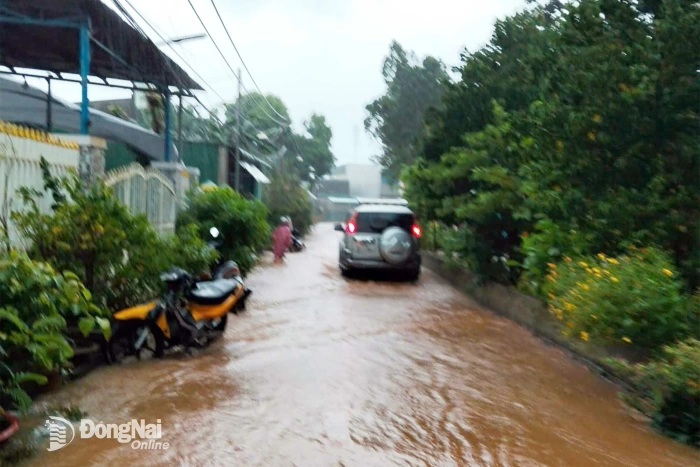 Dự báo trưa 18-9, nhiều nơi trong tỉnh sẽ có mưa lớn