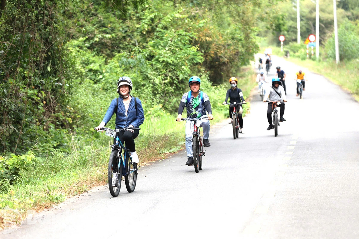 Tourists experience Gia Canh forest. Photo: Ngoc Lien

