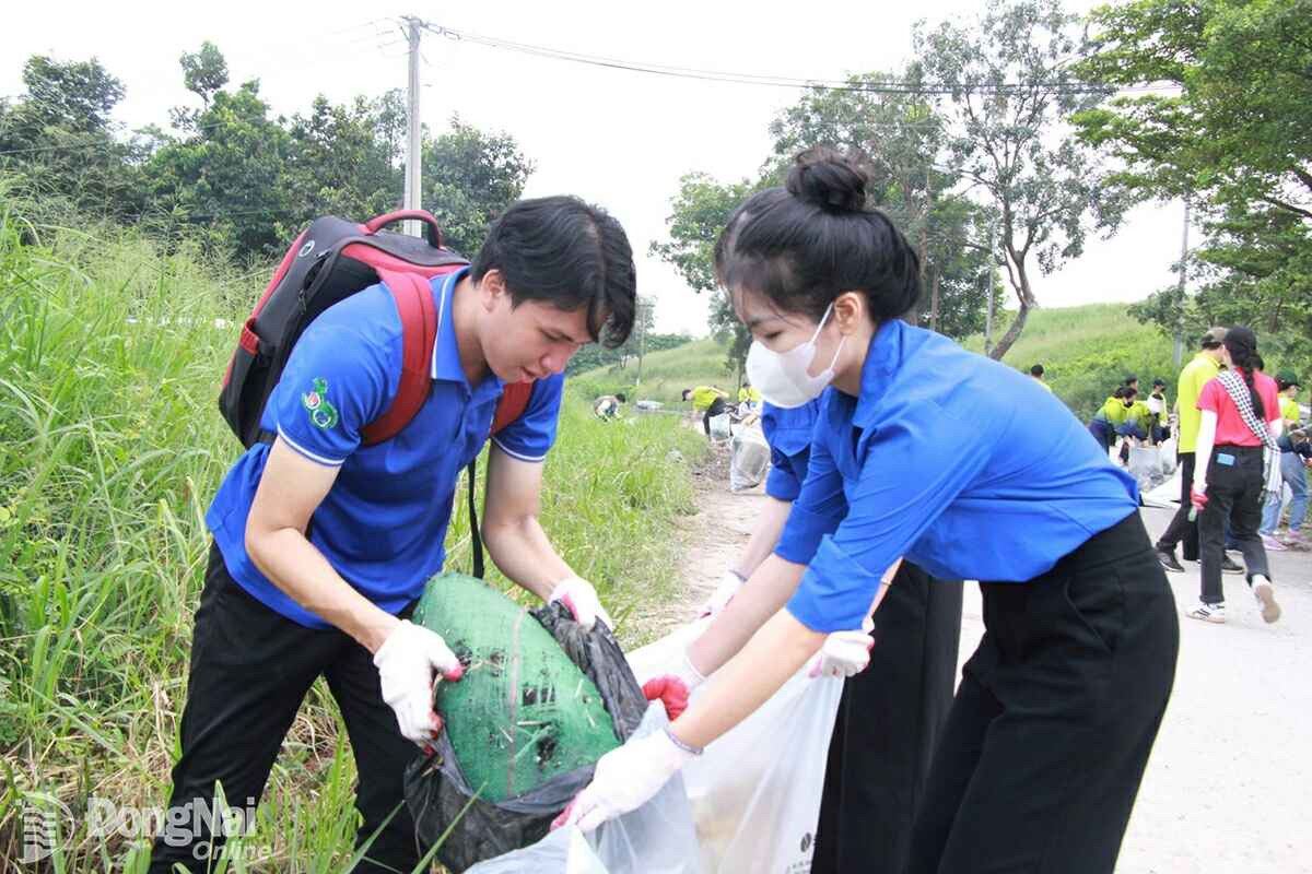 Youth Union members and youth of Trang Dai ward actively participate in garbage collection. Photo: Nga Son
