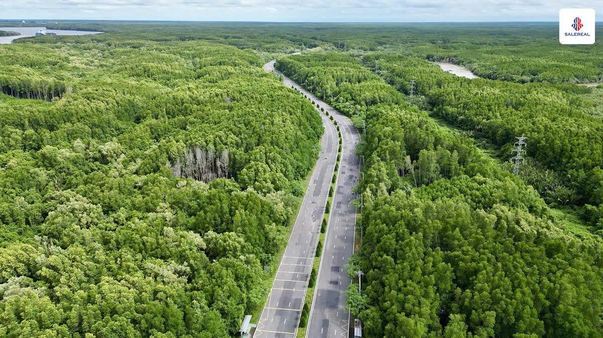 Đường Rừng Sác là hạ tầng giao thông quan trọng của dự án, giúp gia tăng kết nối và thanh khoản Vinhome Cần Giờ.