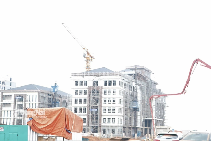 Dong Nai approves investment policy for International Health Quarantine Headquarters Project at Long Thanh Airport