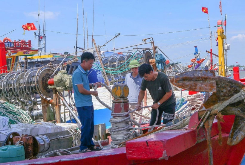 Ngư dân tại Cảng cá Ninh Cơ chằng buộc tàu thuyền cẩn thận tránh va đập khi bão vào. (Ảnh: Công Luật/TTXVN)
