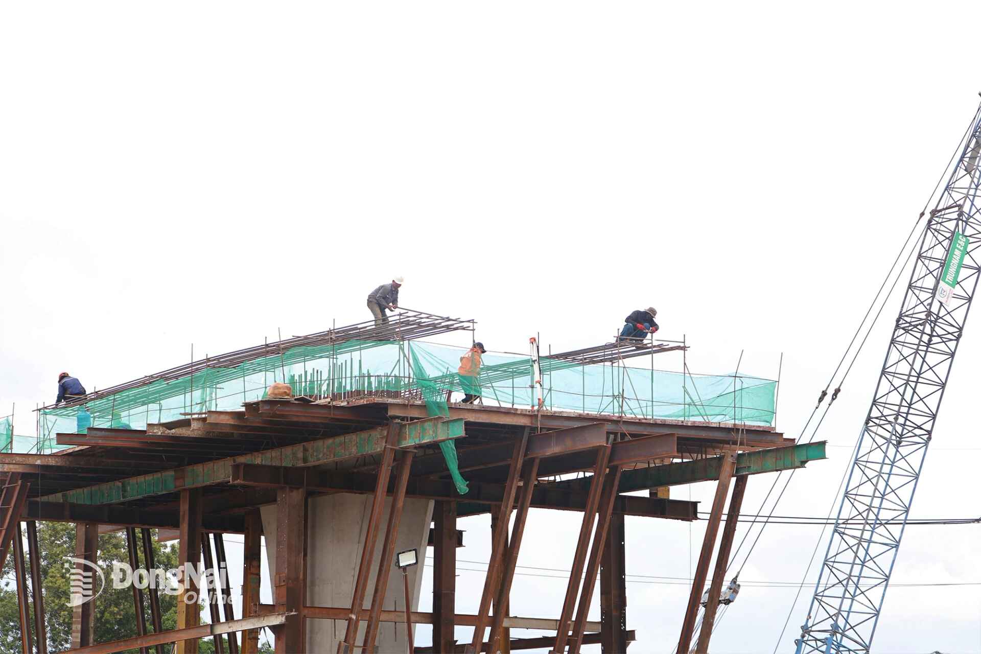 Workers construct the Bien Hoa - Vung Tau Expressway Project the section passing through the province. Photo: Pham Tung