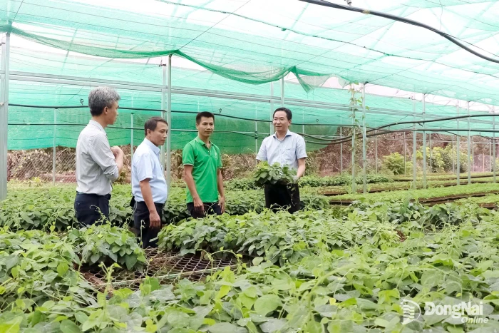 Hỏi - đáp về kinh tế tập thể