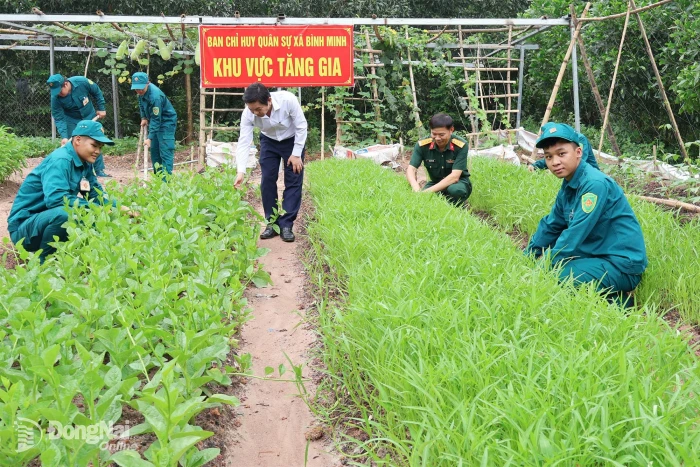 Gắn kết từ mô hình mượn đất tăng gia sản xuất