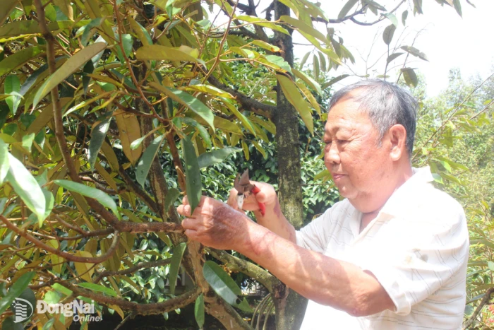 Khi người cao tuổi vẫn muốn được góp sức