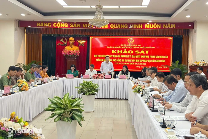 Nâng hiệu quả công tác giải quyết khiếu nại, tố cáo