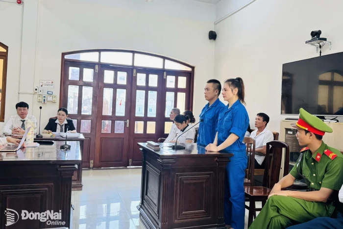 Dùng hợp đồng giả để lừa đảo, hai vợ chồng bị cáo lãnh án