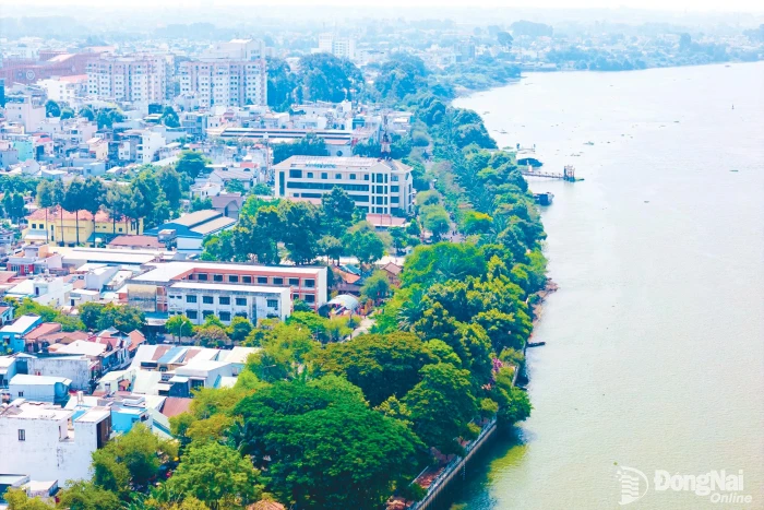 Hành động vì gia đình hạnh phúc, xã hội văn minh