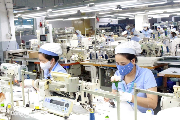 Tháng 3-2027, trình Đề án cải cách chính sách tiền lương, bảo hiểm xã hội