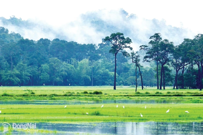 Unlocking Ta Lai's tourism potential