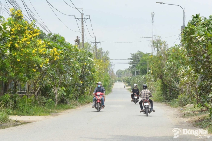 Considering an appropriate scale for road connecting to Tan Hien Bridge