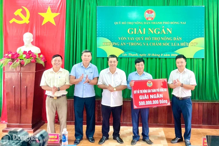 Nhịp sống địa phương ngày 10-9-2026