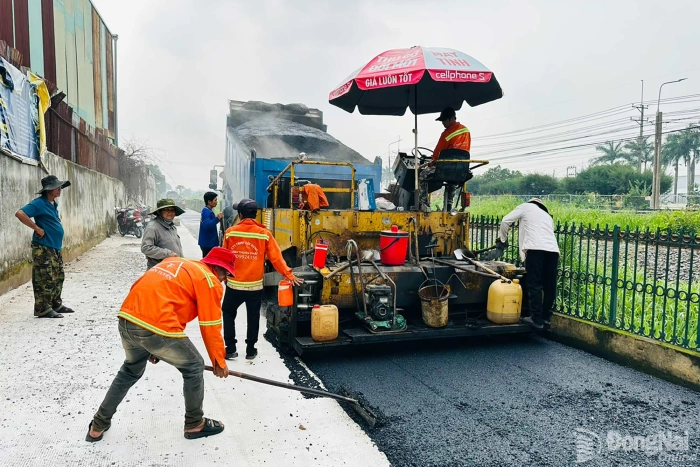 Nhịp sống địa phương ngày 14-9-2026