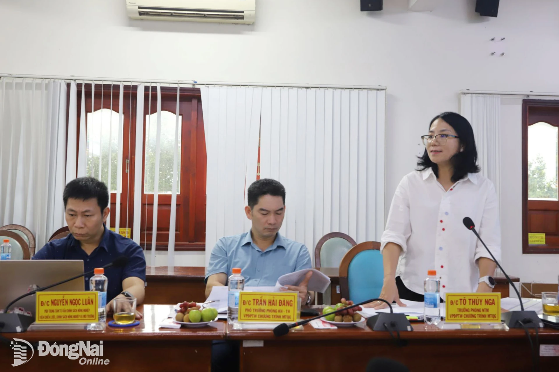 To Thuy Nga, Head of the New-Style Rural Development Division of the Central Coordination Office for the National Target Program, speaks at the working session. Photo: B. Nguyen

