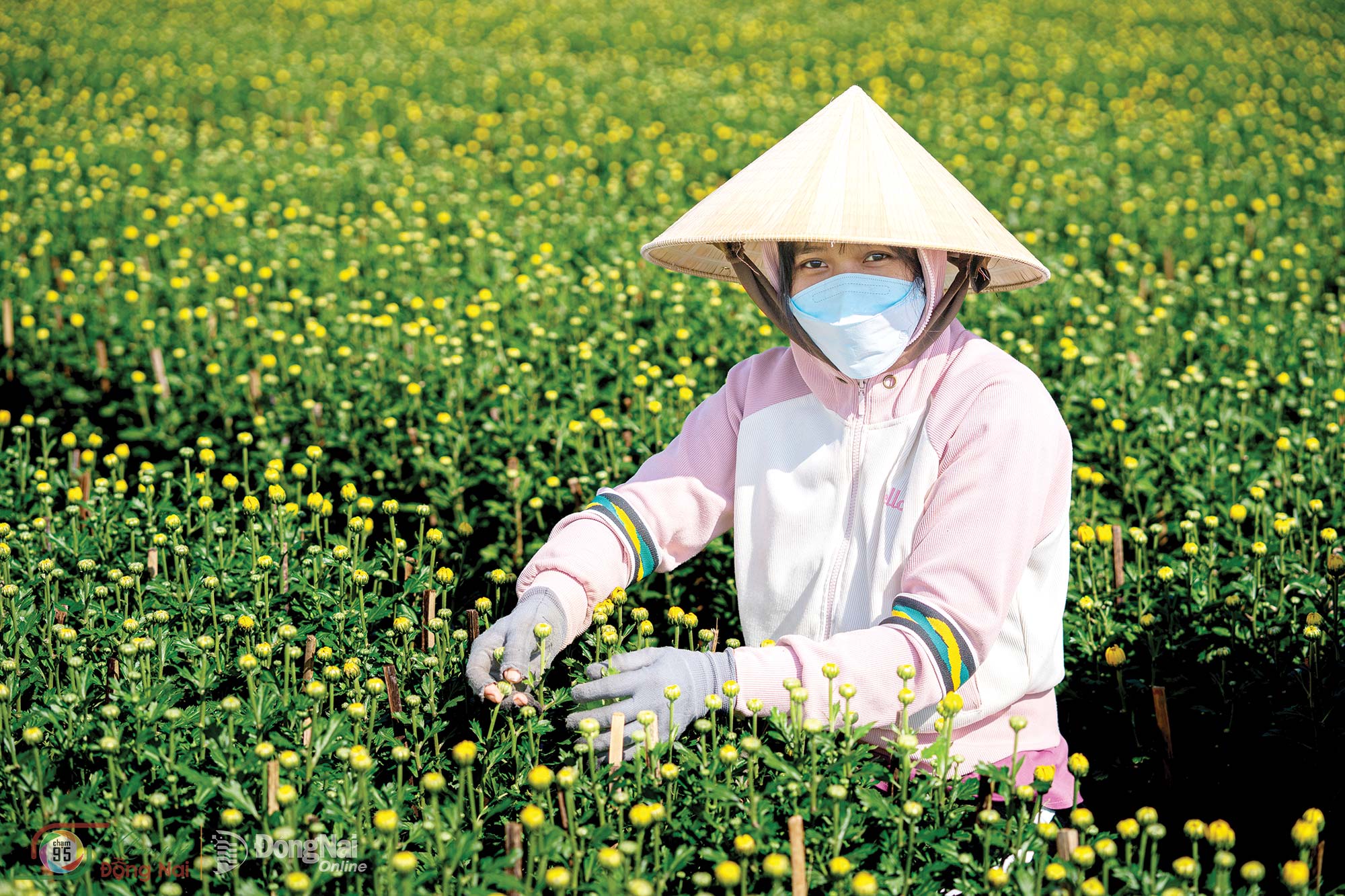 Tending flowers in Gia Kiem Commune. Photo: Nguyen Quang Trong

