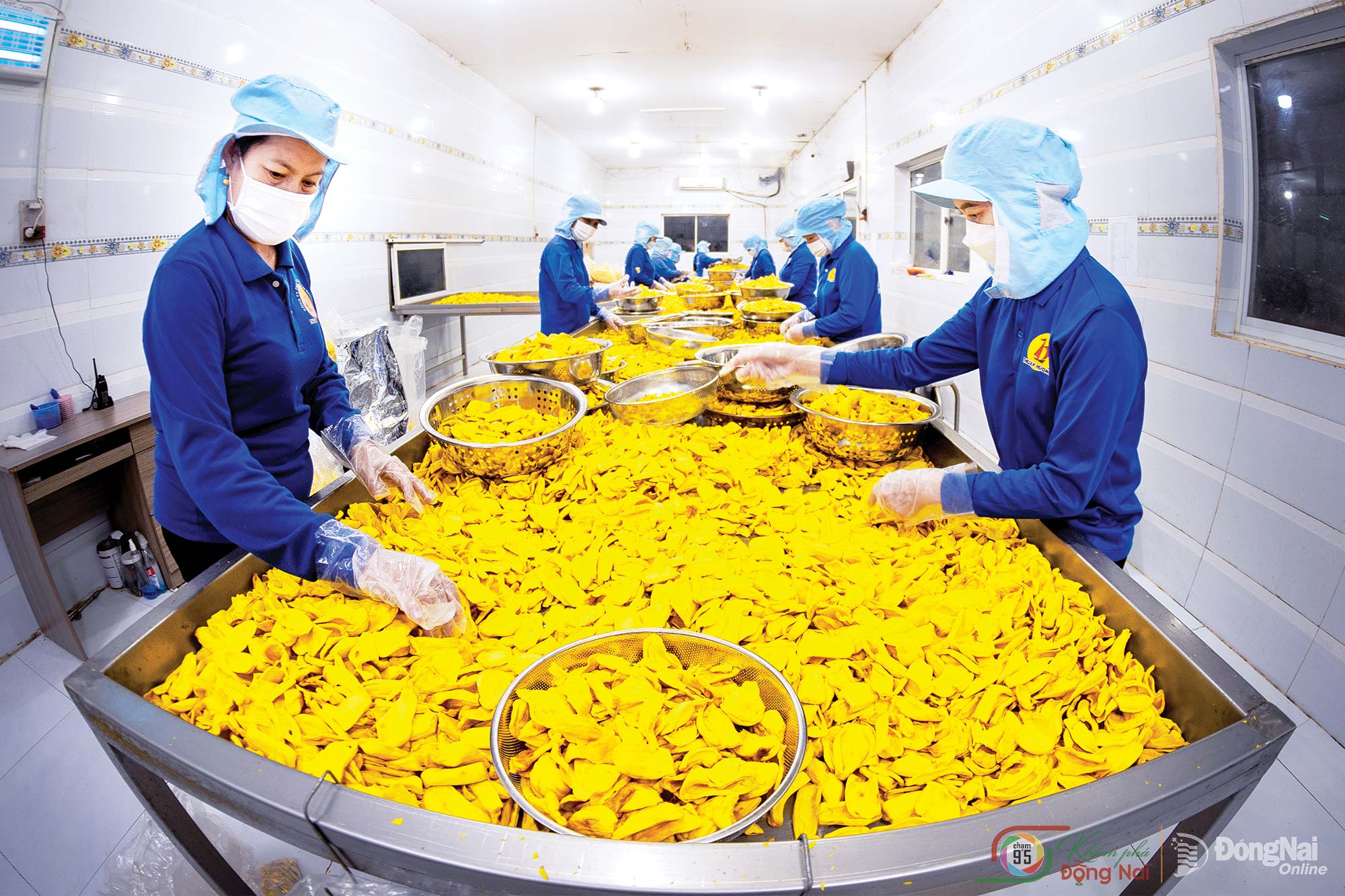 Processing agricultural products in Thong Nhat Commune. Photo: Do Duy The

