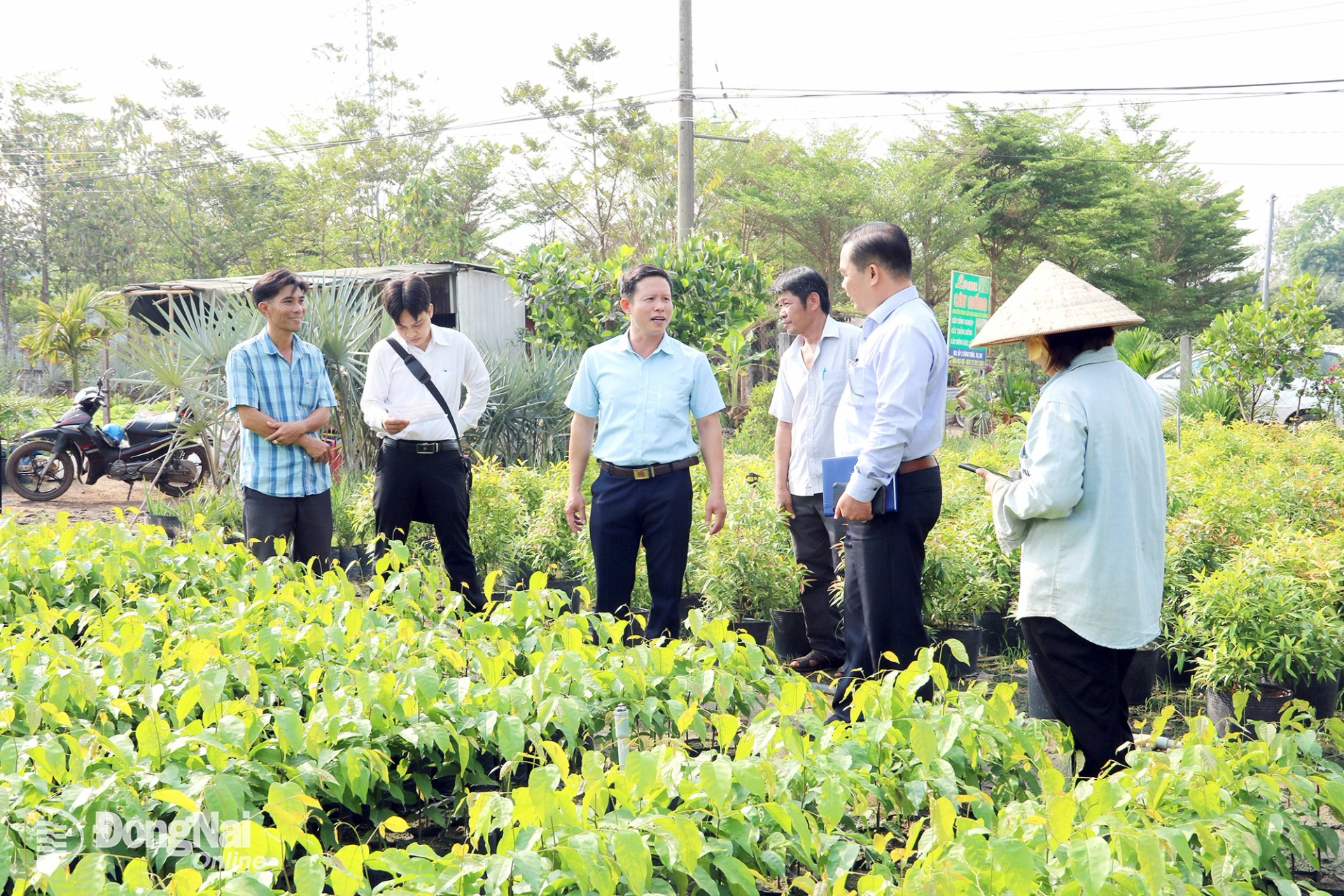 Strengthening Cooperative Alliance’s role as an “extended arm” at grassroots level
