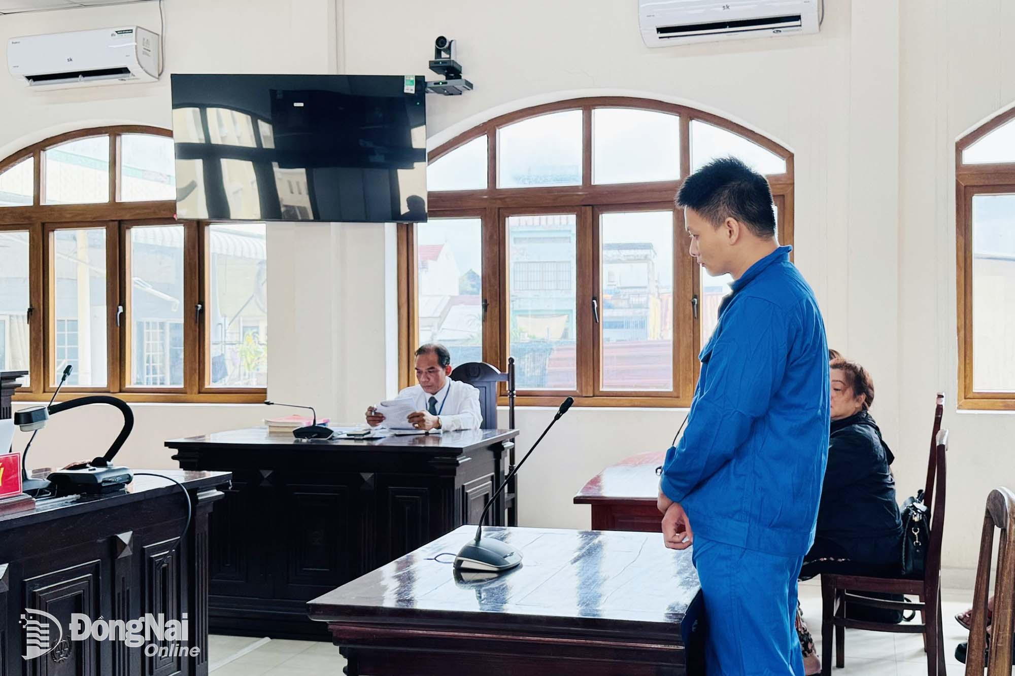 Lừa phân lô, bán nền, bị cáo lãnh 14 năm tù