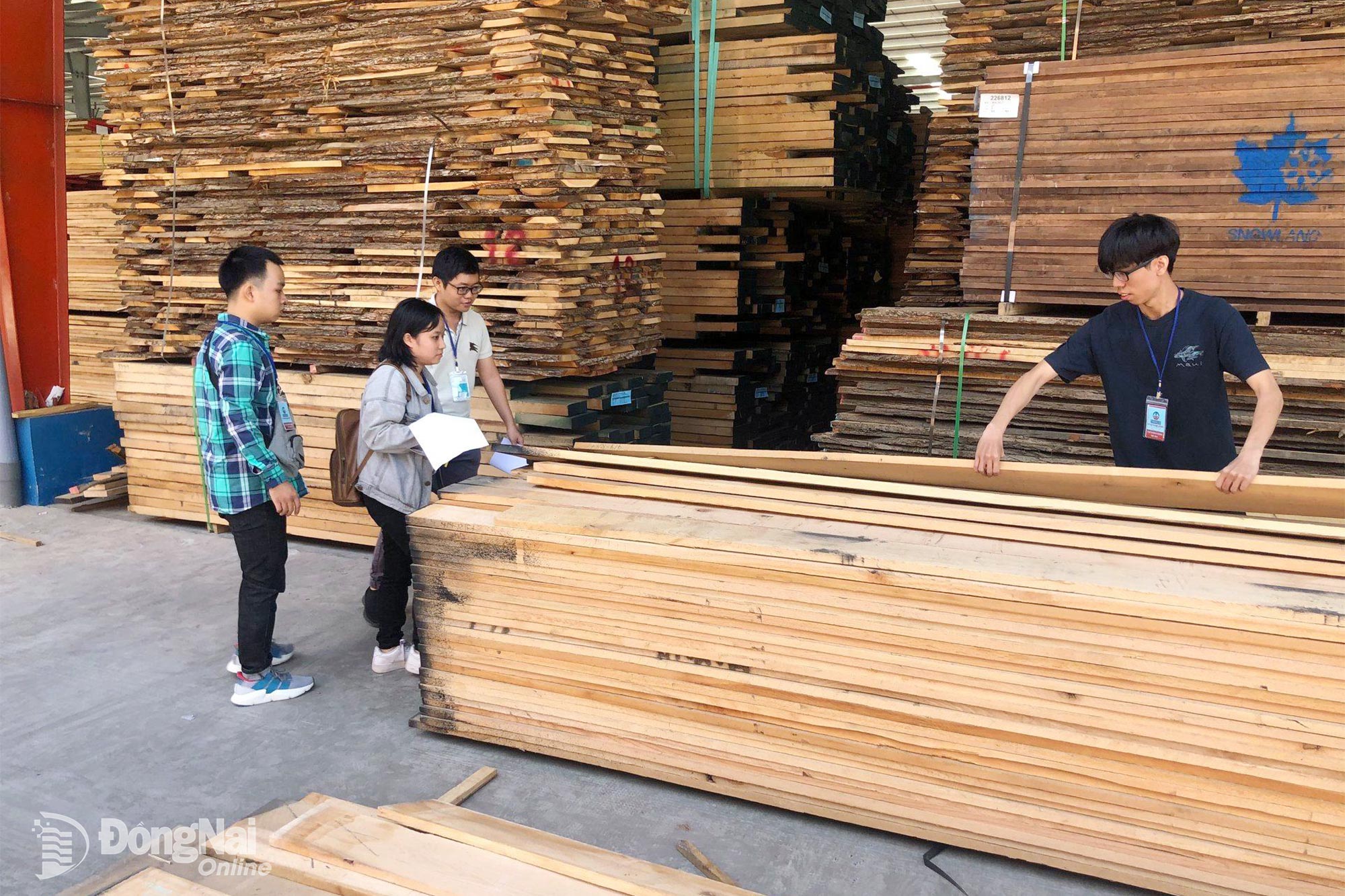 Gỗ xẻ sấy, sơ chế có thể được miễn thuế giá trị gia tăng theo quy định. Trong ảnh: Kho gỗ nguyên liệu của một doanh nghiệp thuộc Hiệp hội Gỗ và thủ công mỹ nghệ Đồng Nai (Dowa).

