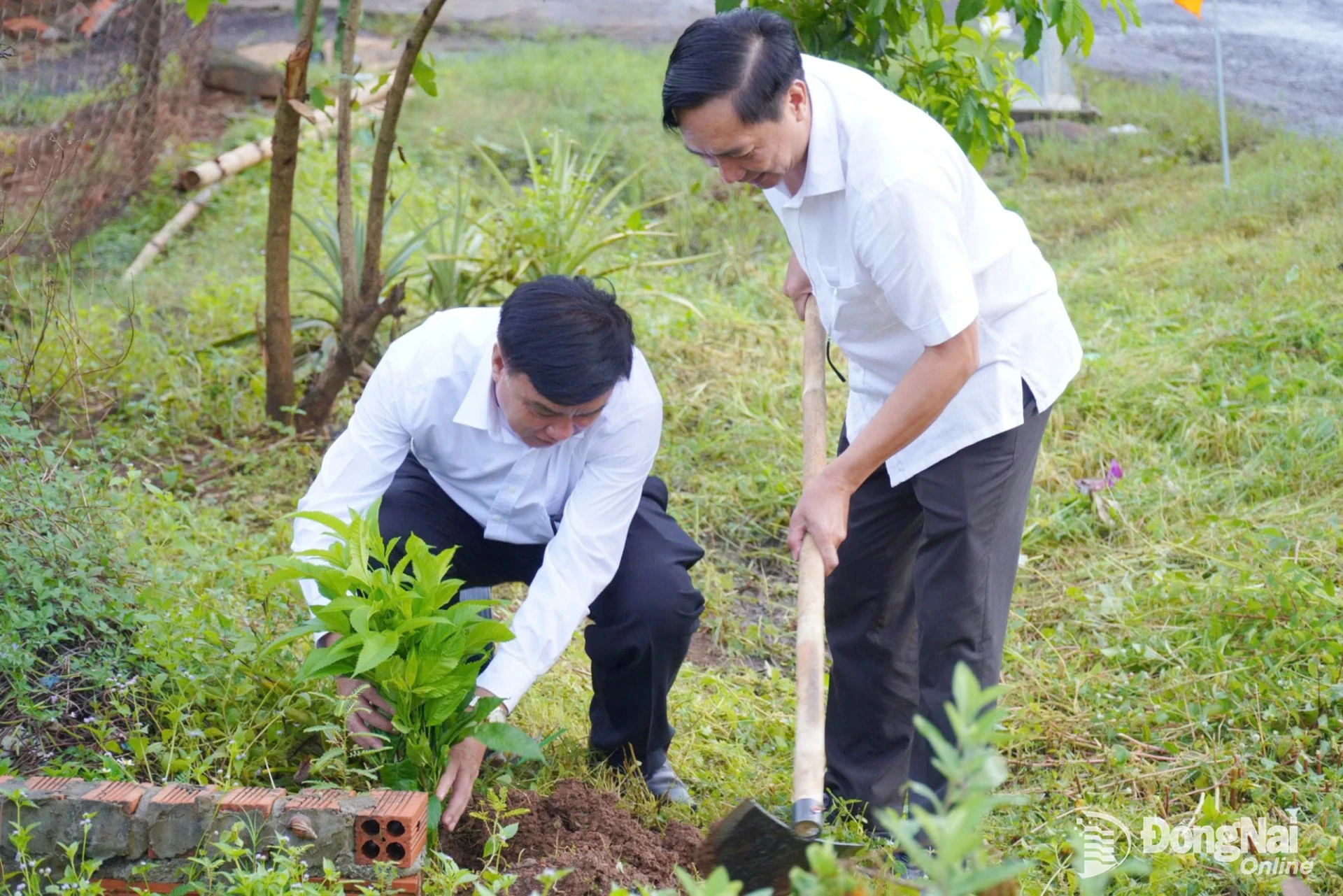 Vu Long Son (left), Member of the City Party Committee, Secretary of the Party Committee and Chairman of the Bom Bo Commune Peoples Council, and Nguyen Van Phat, Deputy Secretary of the Party Committee and Chairman of the Bom Bo Commune Peoples Committee, participate in tree planting after the ceremony.