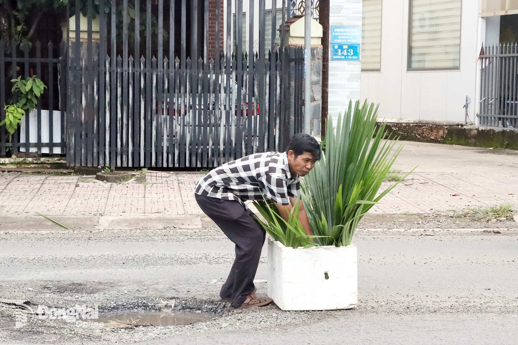 Chứng kiến nhiều vụ tai nạn xảy ra trên đường Nguyễn Huệ, anh Lê Tấn Nhật ở khu phố Bình Thiện, phường Bình Phước đã cắt cành lá cắm trong thùng xốp để cảnh báo nguy hiểm cho người tham gia giao thông. Ảnh: Quang Minh